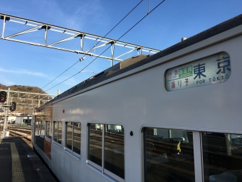 修善寺駅から東京駅の乗車記録(乗りつぶし)写真