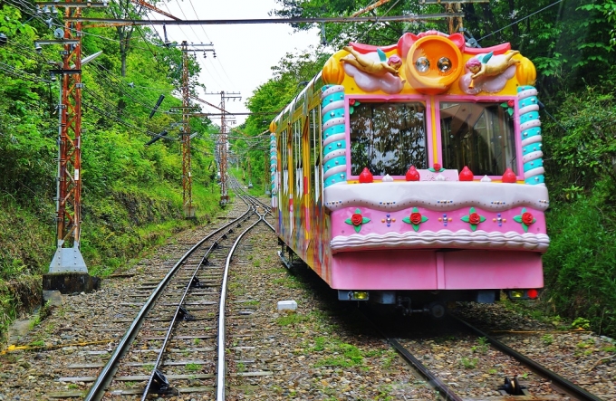 鉄道乗車記録の写真:車窓・風景(4)        「途中で生駒山を登るスイート号と交換です。」