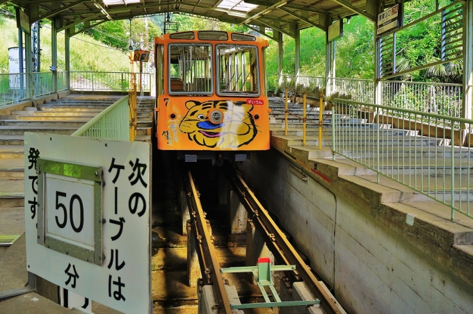 鉄道乗車記録の写真:乗車した列車(外観)(3)        「ずいうん号」