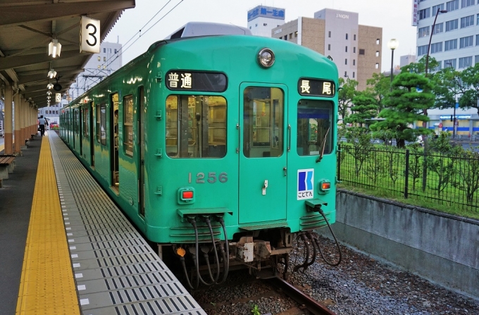 鉄道乗車記録の写真:乗車した列車(外観)(2)        「終点の高松築港駅に到着。
ここから道路を渡ってJR高松駅に向かいます。」