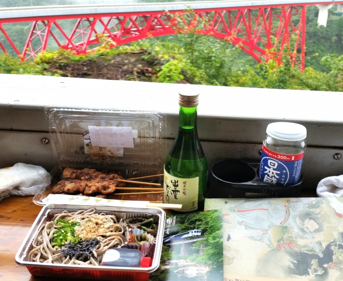鉄道乗車記録の写真:車窓・風景(22)        「おろちループのある三井野大橋を眺めるポイントに着くと列車は観光客用で一時停車します｡」