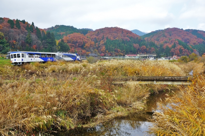 鉄道乗車記録の写真:列車・車両の様子(未乗車)(13)     「列車は広島県に入り里山の風景が広がる油木を出ると西城川に沿って狭い谷間を下って行きます。」