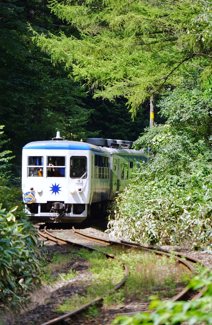 鉄道乗車記録の写真:列車・車両の様子(未乗車)(20)        「最高地点の三井野原を出ると備後落合まで下りとなり広島県に入って行きます。」