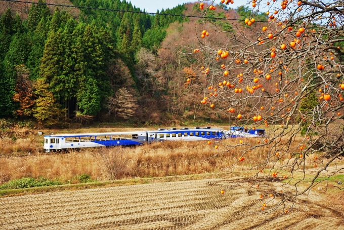 鉄道乗車記録の写真:列車・車両の様子(未乗車)(6)        「2015.11.23に撮影したものです。」