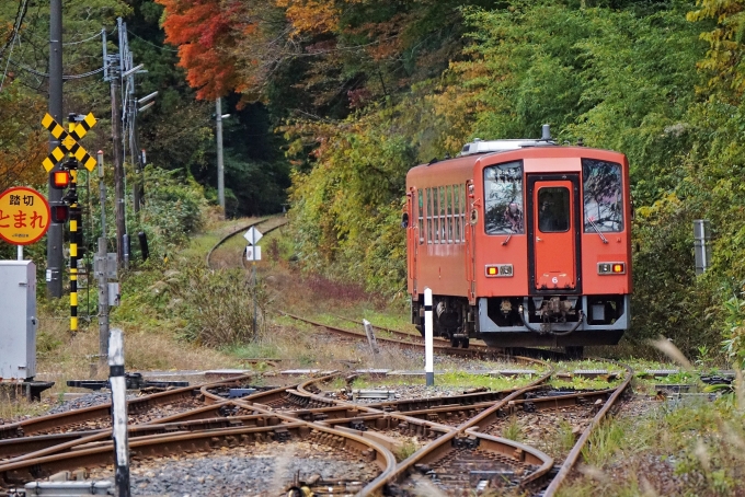 鉄道乗車記録の写真:列車・車両の様子(未乗車)(13)        「出雲坂根駅では備後落合行列車と交換。」