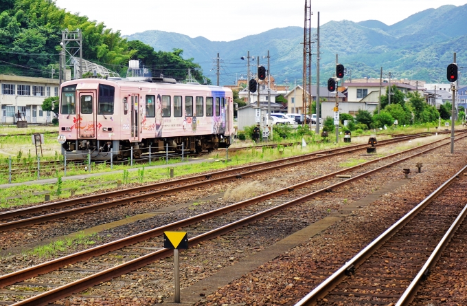 鉄道乗車記録の写真:乗車した列車(外観)(7)     