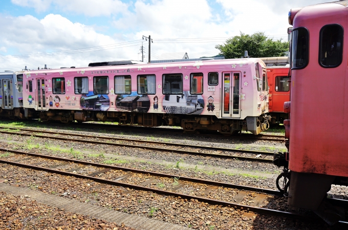 鉄道乗車記録の写真:列車・車両の様子(未乗車)(8)        