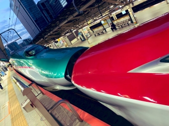 東京駅から木古内駅の乗車記録(乗りつぶし)写真