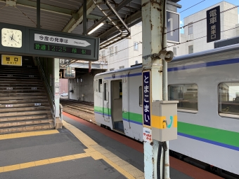 苫小牧駅から鵡川駅の乗車記録(乗りつぶし)写真