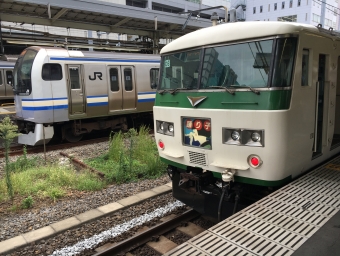 品川駅から修善寺駅の乗車記録(乗りつぶし)写真