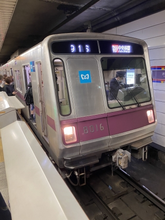 渋谷駅から二子玉川駅の乗車記録(乗りつぶし)写真