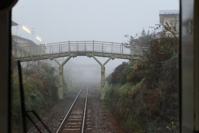 鉄道乗車記録の写真:車窓・風景(17)        「遠野駅付近は濃い霧がかかっていた。」