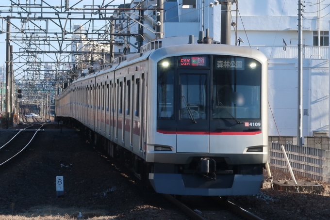 鉄道乗車記録の写真:列車・車両の様子(未乗車)(2)        「次のダイヤ改正でなくなる東武東上線内F急行」