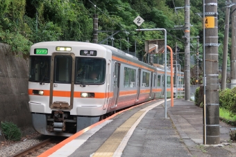 井出駅から甲斐大島駅の乗車記録(乗りつぶし)写真