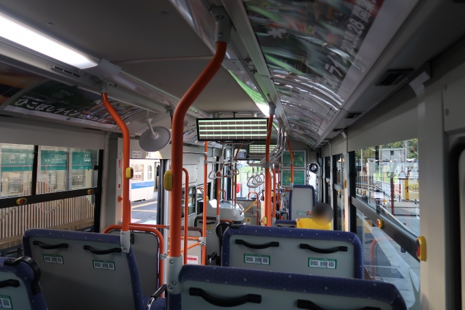 鉄道乗車記録の写真(11)        「BRT車内。座席配置等は普通のバスだが、床が木目調になっていたり、USB充電器が設置されたりと利便性、快適性は高い。」