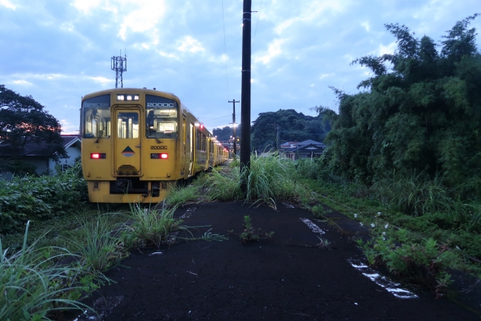 鉄道乗車記録の写真:乗車した列車(外観)(7)        