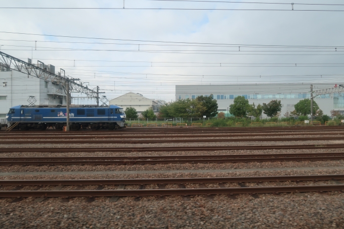 鉄道乗車記録の写真:車窓・風景(10)        「長いトンネルを幾つか抜けると新川崎駅手前のところで地上にあがり、見慣れた区間へと合流する。」
