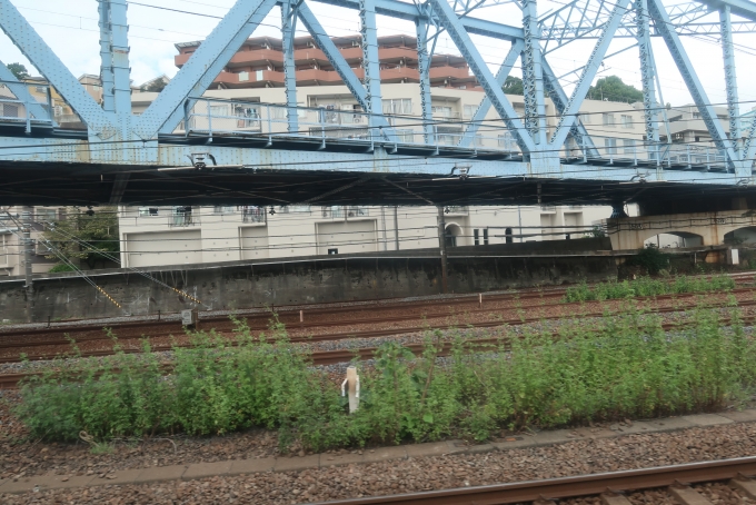 鉄道乗車記録の写真:車窓・風景(13)     
