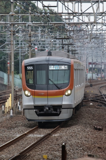志木駅から川越駅の乗車記録(乗りつぶし)写真