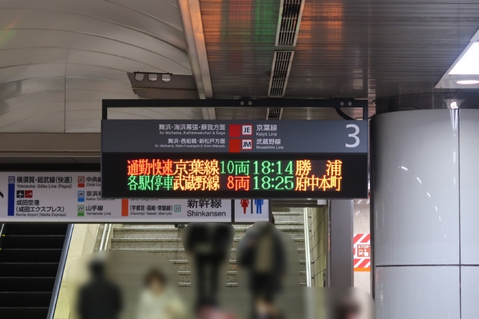 鉄道乗車記録の写真:駅舎・駅施設、様子(20)        