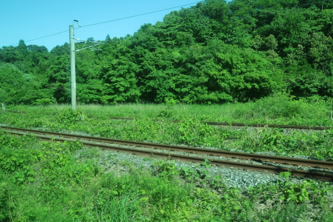 鉄道乗車記録の写真:車窓・風景(9)        「仙石東北ラインとの分岐点」