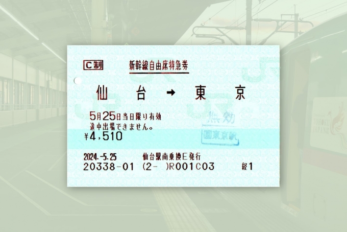 鉄道乗車記録の写真:きっぷ(21)        