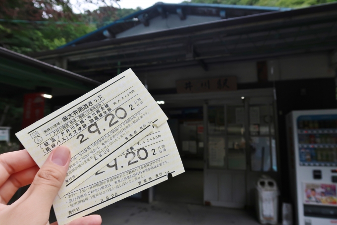 鉄道乗車記録の写真:きっぷ(3)     「大井川鐡道本線、井川線+αに2日間乗り放題の奥大井周遊きっぷ、キャンペーンで半額の2450円だった。」