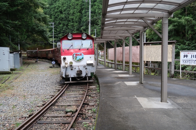 鉄道乗車記録の写真:乗車した列車(外観)(6)     「HM」