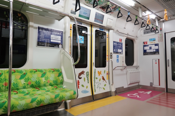 鉄道乗車記録の写真:車内設備、様子(3)        「青463編成は東京アドベンチャーラインオリジナルの特別な内装となっており、シートモケットにりすのいらすとなどが描かれている。」