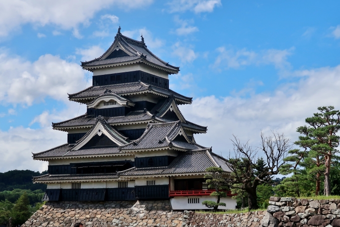 鉄道乗車記録の写真:旅の思い出(4)        「松本駅から徒歩10分くらいのところに松本城がある。」