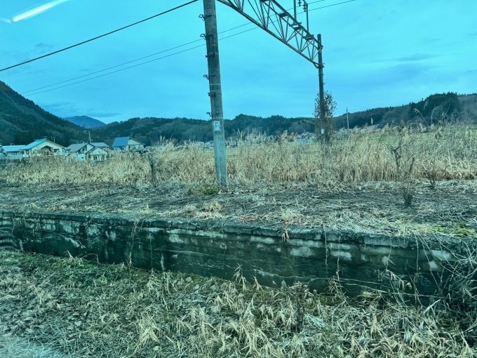 鉄道乗車記録の写真:駅舎・駅施設、様子(4)        「元々、複線だった様子。草が伸び放題で廃墟感がすごい。」