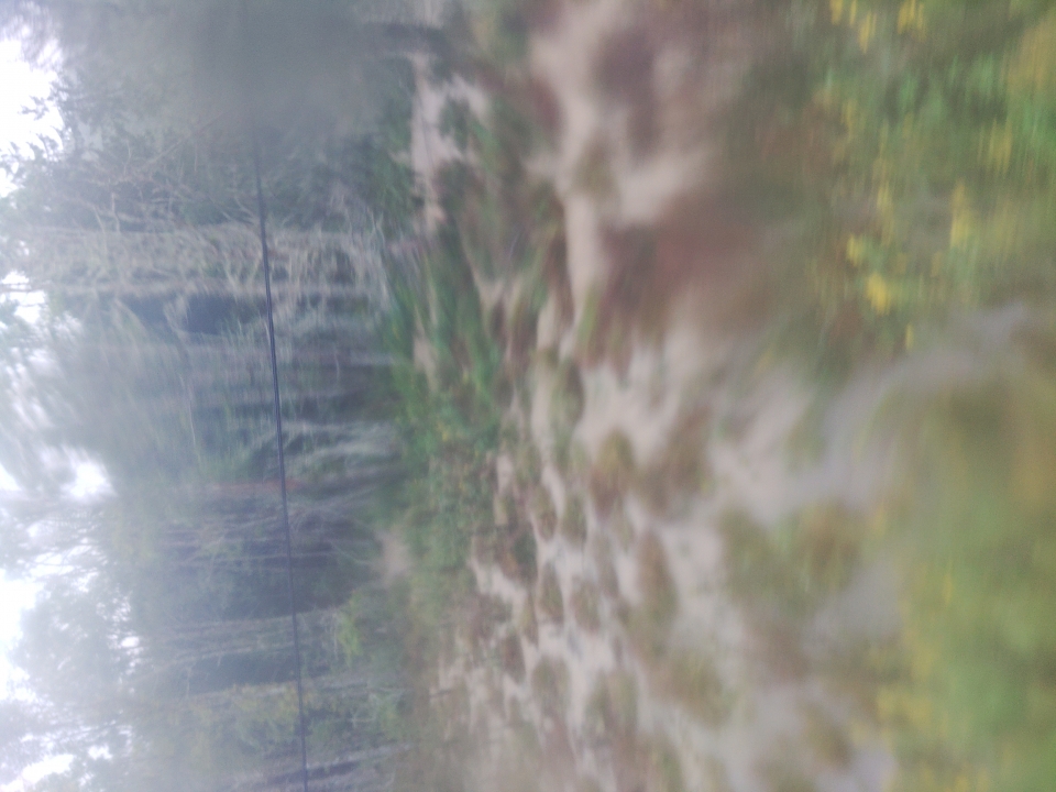 鉄道乗車記録「根室駅から釧路駅」車窓・風景の写真(2) by 白い分度器 撮影日時:2021年09月18日