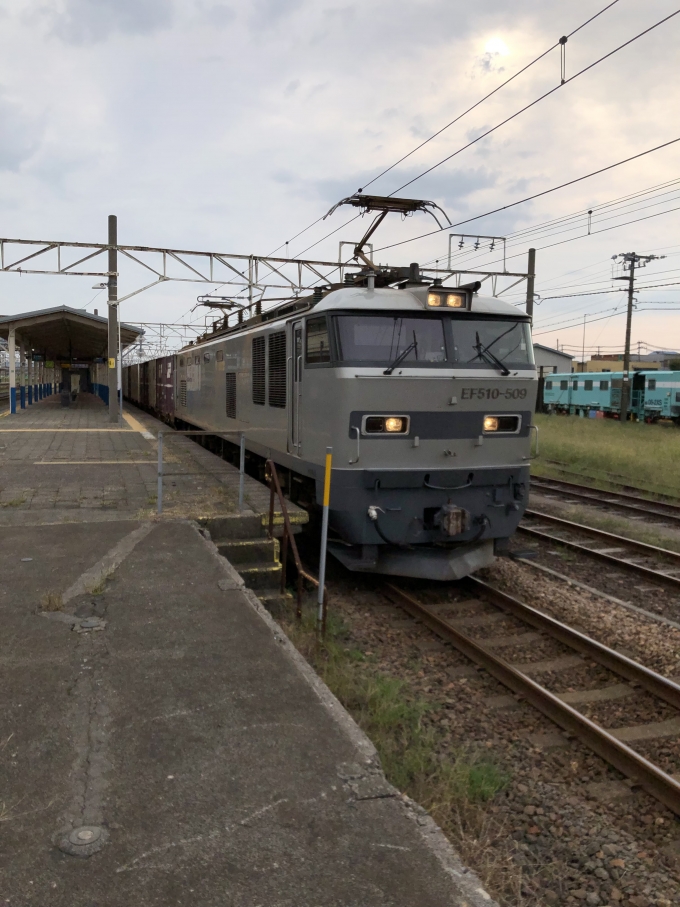鉄道乗車記録の写真:列車・車両の様子(未乗車)(4)        「EF510-509」