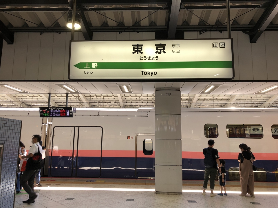 鉄道乗車記録「新潟駅から東京駅」駅名看板の写真(12) by dj_uske 撮影日時:2021年09月19日