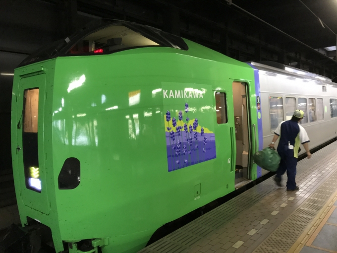 鉄道乗車記録の写真:乗車した列車(外観)(1)     「新千歳空港駅に向かいました。滝川駅から札幌まで　カムイ号に乗りました。」