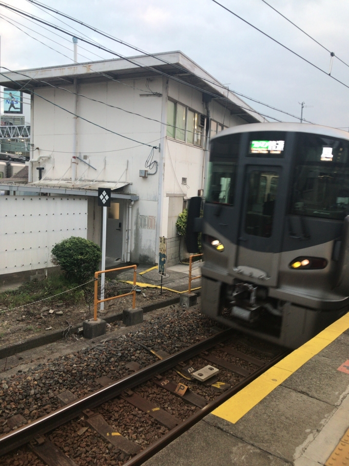 鉄道乗車記録の写真:乗車した列車(外観)(1)          「東羽衣駅まではすぐ着く。
一駅で終点というのは面白い。」