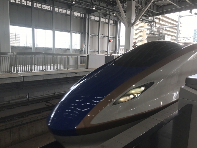 鉄道乗車記録の写真:乗車した列車(外観)(1)          「はくたか
富山は海鮮は美味しかったなぁ」