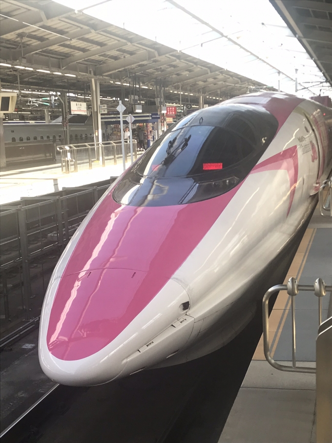 鉄道乗車記録の写真:乗車した列車(外観)(1)          「キティ新幹線のこだま号
車内はとてもユニークだ」