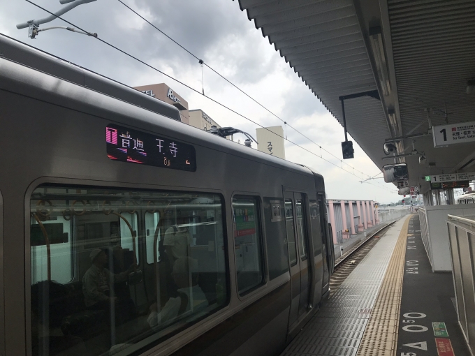 鉄道乗車記録の写真:乗車した列車(外観)(1)     「桜井線(万葉まほろば線)
学生まみれの列車」