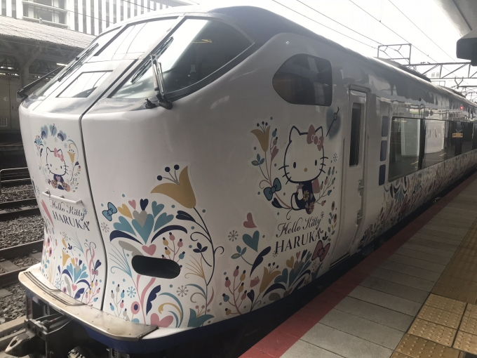 鉄道乗車記録の写真:乗車した列車(外観)(1)          「天王寺に行く時、たまには特急はるかを使うのも良いね。
新型の271系も早く乗りたい！」