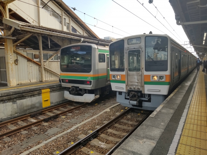 鉄道乗車記録の写真:乗車した列車(外観)(1)          「左:沼津まで乗車した列車
右:沼津から乗車する列車」