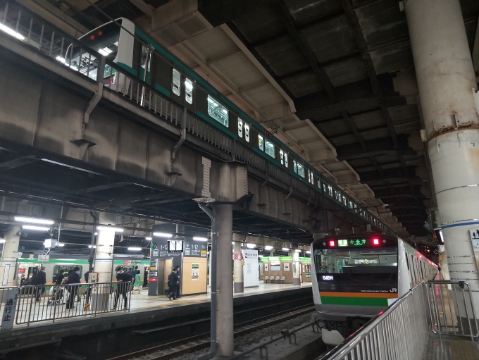 鉄道乗車記録の写真:乗車した列車(外観)(3)        「上野駅16番ホームでは常磐線と縦の並びが見れる」