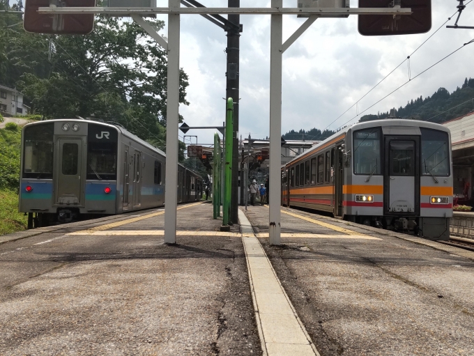 鉄道乗車記録の写真:乗車した列車(外観)(5)        「JR東日本のE127系とJR西日本のキハ120系の並び」