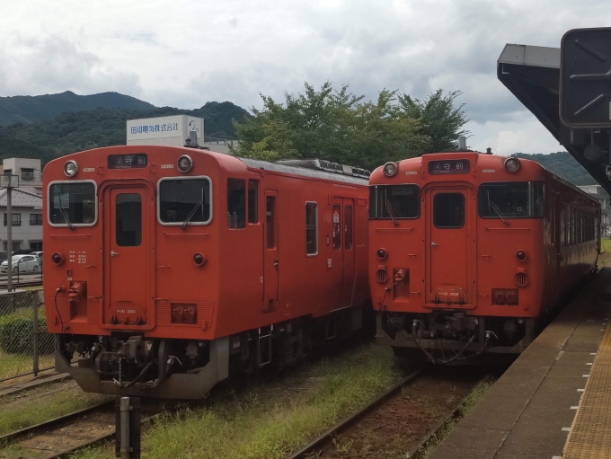 鉄道乗車記録の写真:乗車した列車(外観)(2)        「運転台改造車（左）と乗車した列車（右）」