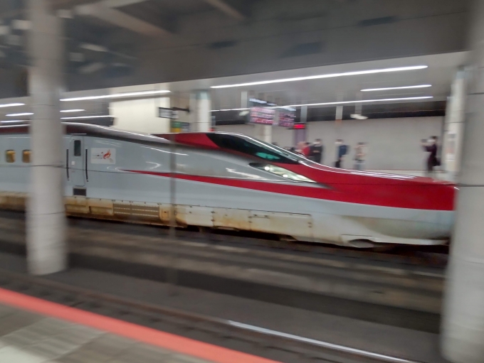 鉄道乗車記録の写真:列車・車両の様子(未乗車)(8)        「こまち23号」