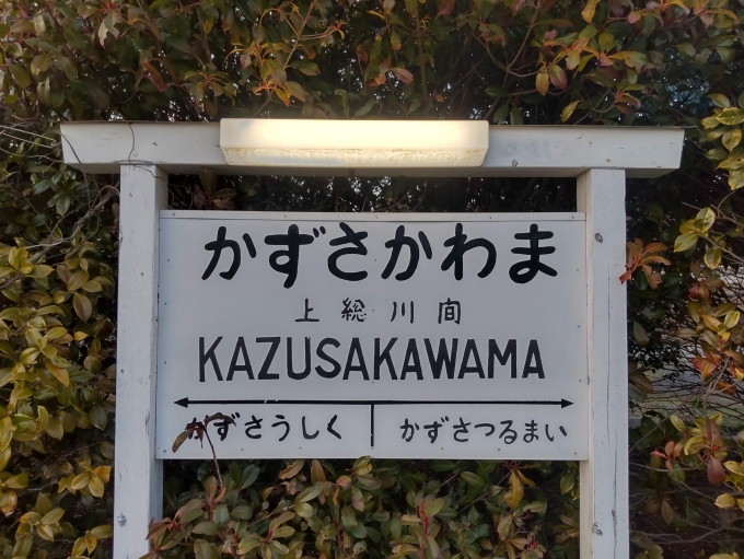 鉄道乗車記録の写真:駅名看板(1)        