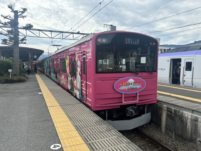 鉄道乗車記録の写真:乗車した列車(外観)(3)        