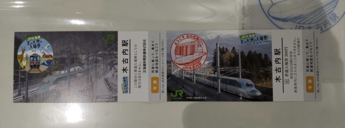 鉄道乗車記録の写真:きっぷ(5)     「北の大地入場券」