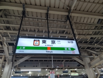 籠原駅から東京駅:鉄道乗車記録の写真