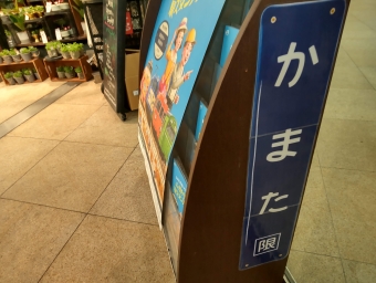 新橋駅から蒲田駅の乗車記録(乗りつぶし)写真